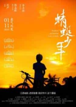 剧情电影《蜻蜓少年》-蓝光4K/1080P/720P/360P高清标清网盘BT迅雷下载小众纪录片电影下载