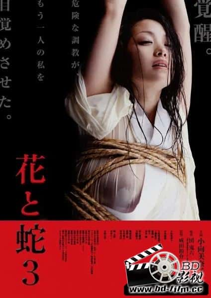 剧情电影《花与蛇3》-蓝光4K/1080P/720P/360P高清标清网盘BT迅雷下载