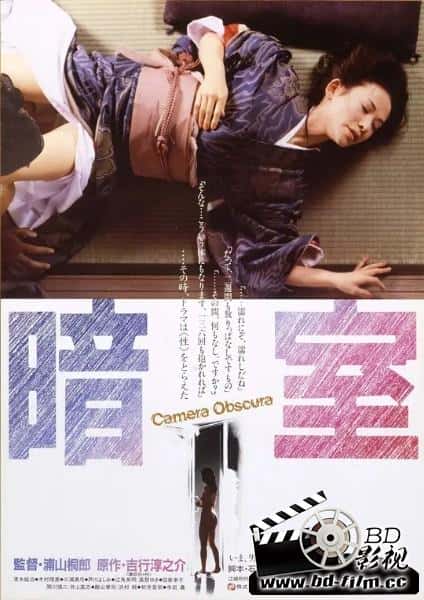 爱情电影《暗室》-蓝光4K/1080P/720P/360P高清标清网盘BT迅雷下载