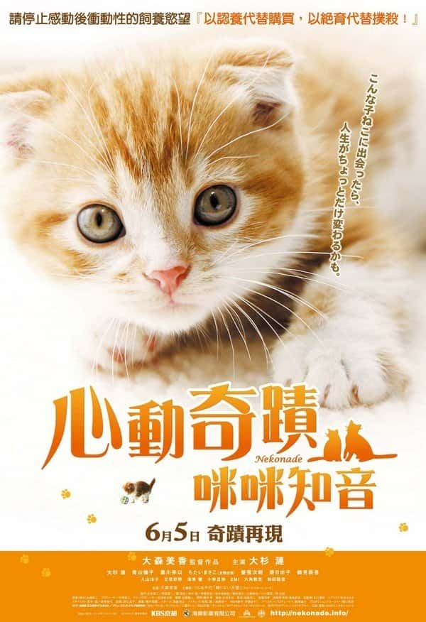 电影《小猫奇缘》-蓝光4K/1080P/720P/360P高清标清网盘BT迅雷下载