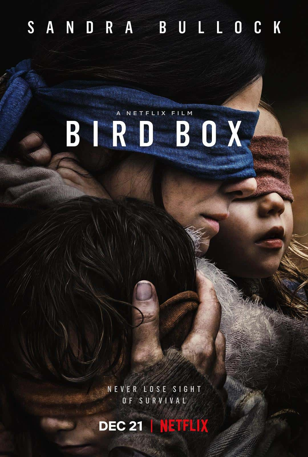 【蓝光|原盘|收藏】 《蒙上你的眼 WEB-DL版下载/ 鸟箱 2018  Bird Box 8.5G》