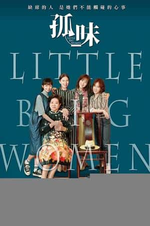 国语电影《行动代号：孙中山》(2014)行動代號：孫中山-小众纪录片电影下载蓝光4K/1080P/720P/360P高清标清网盘BT迅雷下载