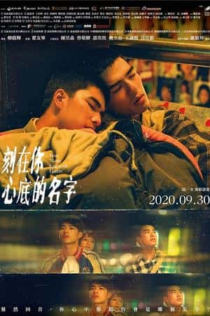 国语电影《刻在你心底的名字》(2020)-小众纪录片电影下载蓝光4K/1080P/720P/360P高清标清网盘BT迅雷下载