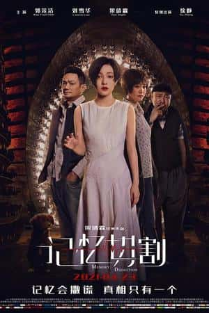 国语电影《记忆切割》(2021)-小众纪录片电影下载蓝光4K/1080P/720P/360P高清标清网盘BT迅雷下载