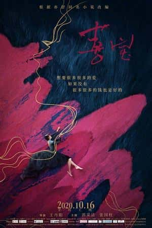 国语电影《喜宝》(2020)-小众纪录片电影下载蓝光4K/1080P/720P/360P高清标清网盘BT迅雷下载