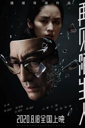 国语电影《再见，陌生人》(2020)-小众纪录片电影下载蓝光4K/1080P/720P/360P高清标清网盘BT迅雷下载