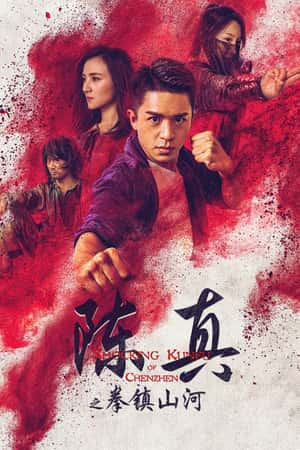 国语电影《陈真之拳镇山河》(2020)-小众纪录片电影下载蓝光4K/1080P/720P/360P高清标清网盘BT迅雷下载