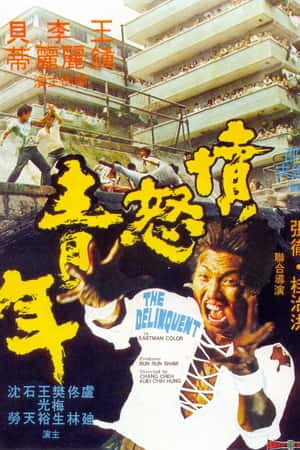 国语电影《愤怒青年》(1973)憤怒青年-小众纪录片电影下载蓝光4K/1080P/720P/360P高清标清网盘BT迅雷下载