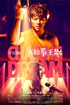 国语电影《我的拳王男友》(2019)-小众纪录片电影下载蓝光4K/1080P/720P/360P高清标清网盘BT迅雷下载