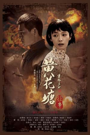 国语电影《黄花塘往事》(2019)-小众纪录片电影下载蓝光4K/1080P/720P/360P高清标清网盘BT迅雷下载