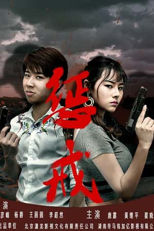 国语电影《惩戒》(2019)-小众纪录片电影下载蓝光4K/1080P/720P/360P高清标清网盘BT迅雷下载