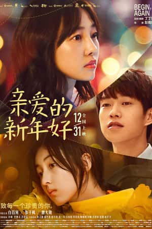 国语电影《亲爱的新年好》(2019)-小众纪录片电影下载蓝光4K/1080P/720P/360P高清标清网盘BT迅雷下载