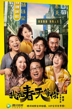 国语电影《我在春天等你》(2019)-小众纪录片电影下载蓝光4K/1080P/720P/360P高清标清网盘BT迅雷下载