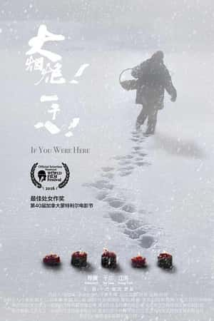 国语电影《大烟炮！一千八！》(2018)-小众纪录片电影下载蓝光4K/1080P/720P/360P高清标清网盘BT迅雷下载