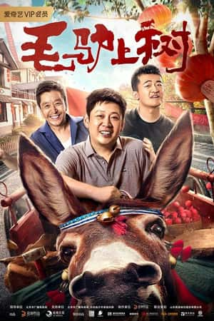 国语电影《毛驴上树》(2019)-小众纪录片电影下载蓝光4K/1080P/720P/360P高清标清网盘BT迅雷下载