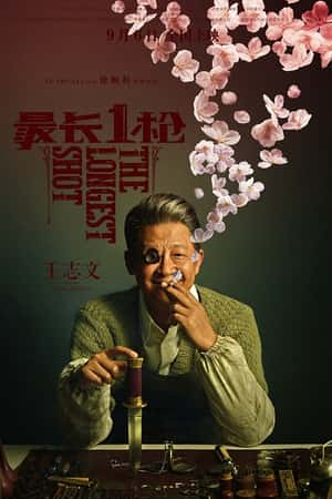 国语电影《最长一枪》(2019)-小众纪录片电影下载蓝光4K/1080P/720P/360P高清标清网盘BT迅雷下载