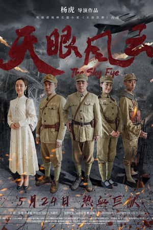 国语电影《天眼风云》(2019)-小众纪录片电影下载蓝光4K/1080P/720P/360P高清标清网盘BT迅雷下载