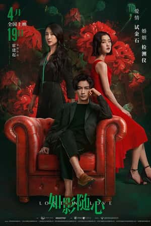 国语电影《如影随心》(2019)-小众纪录片电影下载蓝光4K/1080P/720P/360P高清标清网盘BT迅雷下载