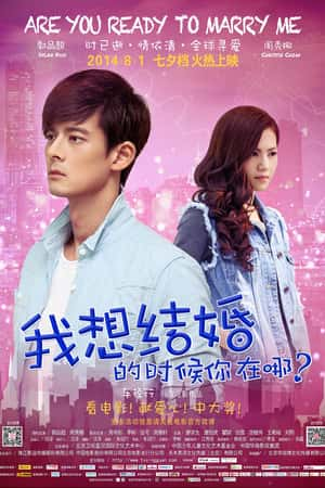 国语电影《我想结婚的时候你在哪》(2014)-小众纪录片电影下载蓝光4K/1080P/720P/360P高清标清网盘BT迅雷下载