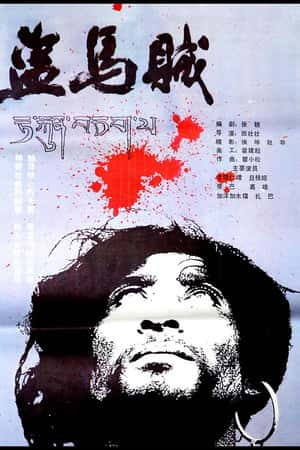 国语电影《盗马贼》(1986)-小众纪录片电影下载蓝光4K/1080P/720P/360P高清标清网盘BT迅雷下载