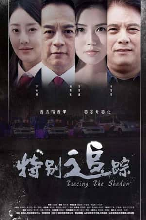 国语电影《特别追踪》(2018)-小众纪录片电影下载蓝光4K/1080P/720P/360P高清标清网盘BT迅雷下载