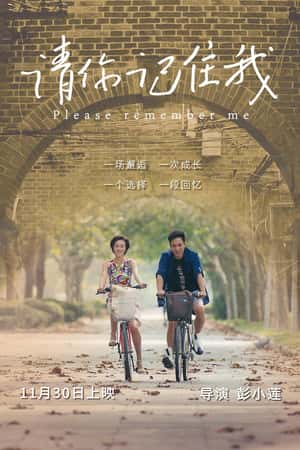 国语电影《请你记住我》(2017)-小众纪录片电影下载蓝光4K/1080P/720P/360P高清标清网盘BT迅雷下载