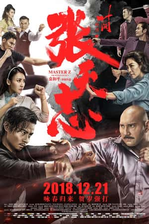 国语电影《叶问外传：张天志》(2018)葉問外傳：張天志-小众纪录片电影下载蓝光4K/1080P/720P/360P高清标清网盘BT迅雷下载