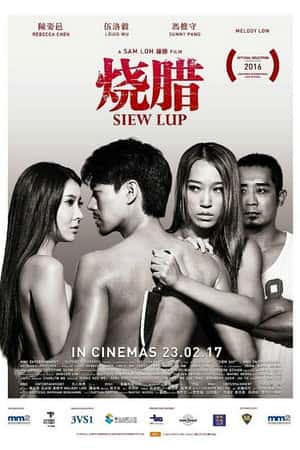 国语电影《烧腊》(2017)Siew Lup-小众纪录片电影下载蓝光4K/1080P/720P/360P高清标清网盘BT迅雷下载