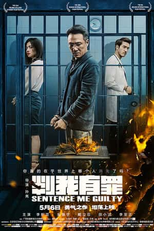 国语电影《判我有罪》(2015)-小众纪录片电影下载蓝光4K/1080P/720P/360P高清标清网盘BT迅雷下载