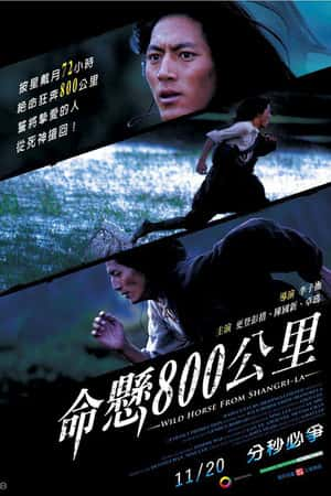 国语电影《命悬800公里》(2009)-小众纪录片电影下载蓝光4K/1080P/720P/360P高清标清网盘BT迅雷下载