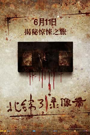 国语电影《北纬31°录像带》(2010)-小众纪录片电影下载蓝光4K/1080P/720P/360P高清标清网盘BT迅雷下载