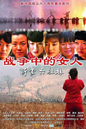 国语电影《沂蒙六姐妹》(2009)-小众纪录片电影下载蓝光4K/1080P/720P/360P高清标清网盘BT迅雷下载