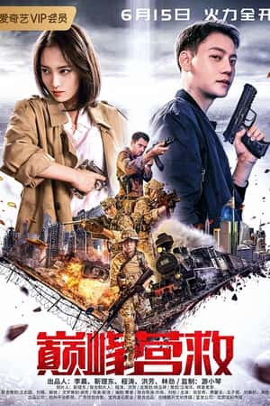 国语电影《巅峰营救》(2019)-小众纪录片电影下载蓝光4K/1080P/720P/360P高清标清网盘BT迅雷下载