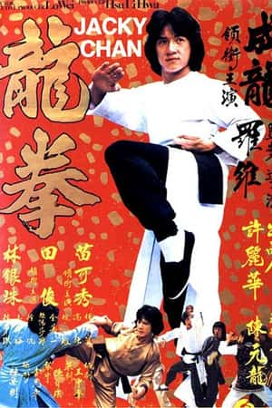 国语电影《龙拳》(1979)-小众纪录片电影下载蓝光4K/1080P/720P/360P高清标清网盘BT迅雷下载