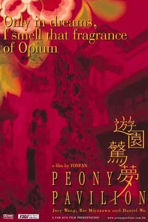 国语电影《游园惊梦》(2001)遊園驚夢-小众纪录片电影下载蓝光4K/1080P/720P/360P高清标清网盘BT迅雷下载