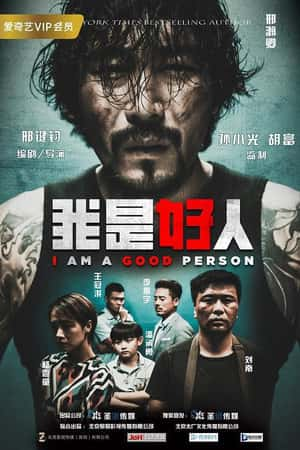 国语电影《我是好人》(2018)-小众纪录片电影下载蓝光4K/1080P/720P/360P高清标清网盘BT迅雷下载