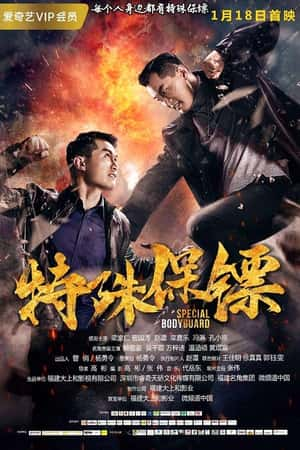 国语电影《特殊保镖》(2019)-小众纪录片电影下载蓝光4K/1080P/720P/360P高清标清网盘BT迅雷下载