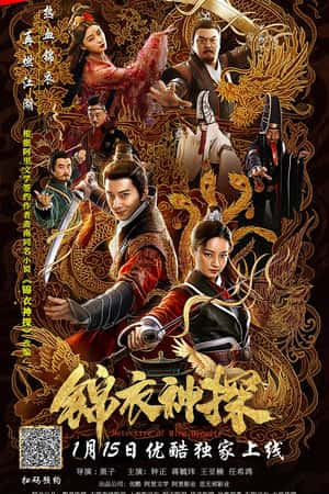 国语电影《锦衣神探》(2018)-小众纪录片电影下载蓝光4K/1080P/720P/360P高清标清网盘BT迅雷下载