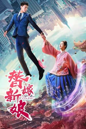 国语电影《替嫁新娘》(2018)-小众纪录片电影下载蓝光4K/1080P/720P/360P高清标清网盘BT迅雷下载