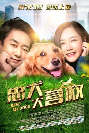 国语电影《忠犬大营救》(2018)-小众纪录片电影下载蓝光4K/1080P/720P/360P高清标清网盘BT迅雷下载