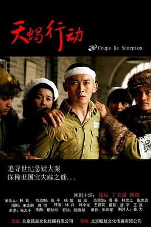 国语电影《天蝎行动》(2018)-小众纪录片电影下载蓝光4K/1080P/720P/360P高清标清网盘BT迅雷下载