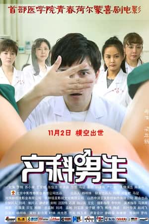 国语电影《产科男生》(2018)-小众纪录片电影下载蓝光4K/1080P/720P/360P高清标清网盘BT迅雷下载