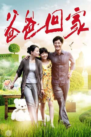 国语电影《爸爸回家》(2012)-小众纪录片电影下载蓝光4K/1080P/720P/360P高清标清网盘BT迅雷下载