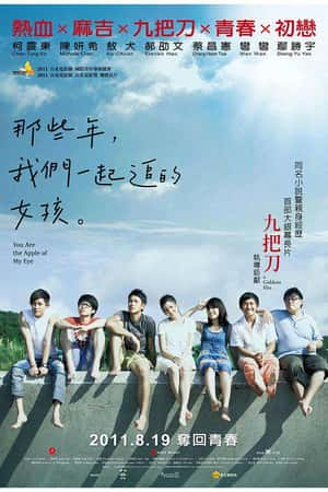 国语电影《那些年，我们一起追的女孩》(2011)那些年，我們一起追的女孩-小众纪录片电影下载蓝光4K/1080P/720P/360P高清标清网盘BT迅雷下载