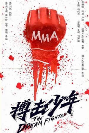 国语电影《搏击少年》(2018)-小众纪录片电影下载蓝光4K/1080P/720P/360P高清标清网盘BT迅雷下载