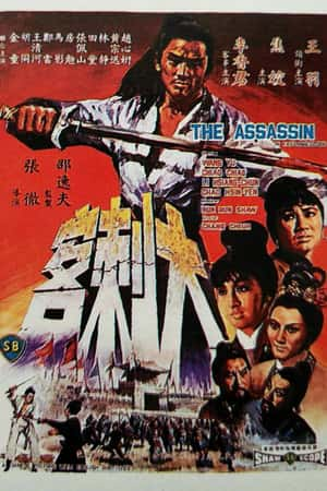 国语电影《大刺客》(1967)-小众纪录片电影下载蓝光4K/1080P/720P/360P高清标清网盘BT迅雷下载