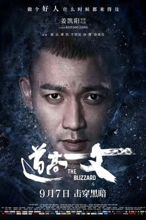 国语电影《道高一丈》(2018)-小众纪录片电影下载蓝光4K/1080P/720P/360P高清标清网盘BT迅雷下载