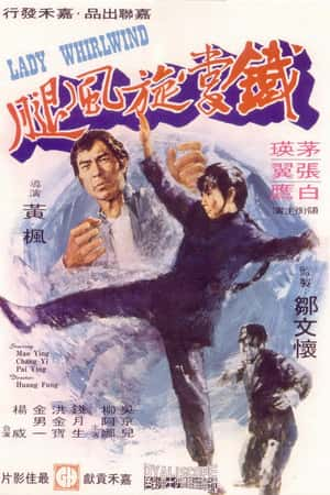 国语电影《铁掌旋风腿》(1972)鐵掌旋風腿-小众纪录片电影下载蓝光4K/1080P/720P/360P高清标清网盘BT迅雷下载