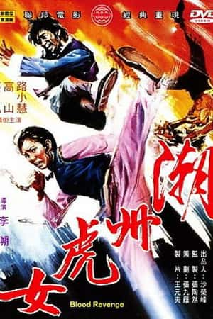 国语电影《潮州虎女》(1974)-小众纪录片电影下载蓝光4K/1080P/720P/360P高清标清网盘BT迅雷下载