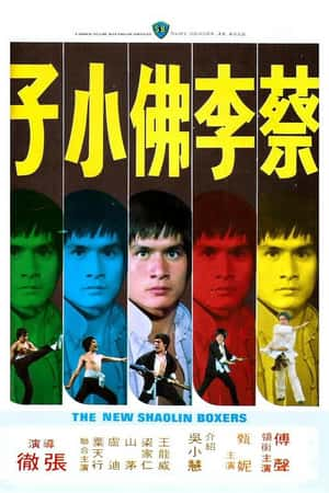 国语电影《蔡李佛小子》(1976)-小众纪录片电影下载蓝光4K/1080P/720P/360P高清标清网盘BT迅雷下载